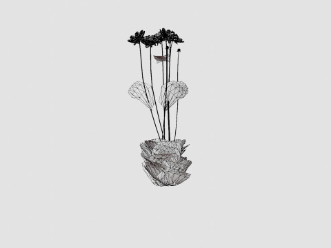 Chocolate Cosmos Atrosanguineus 3D Model