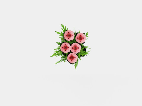 Papaver orientale Fornsott Summer Orientvalmue 3D Model