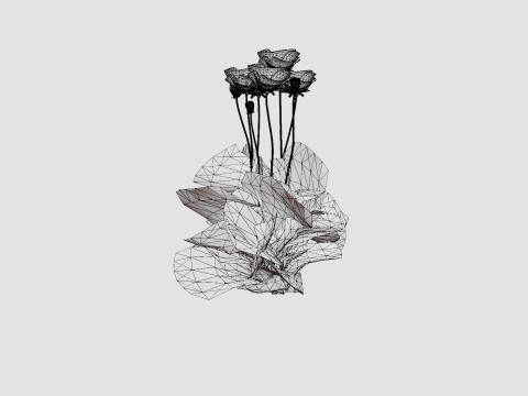 Papaver orientale Fornsott Summer Orientvalmue 3D Model