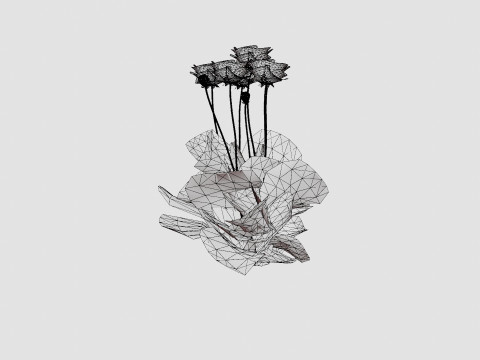 Papaver orientale Fornsott Summer Orientvalmue 3D Model