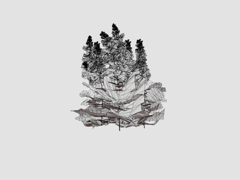 Astilbe chinensis Maggie Daley Chinese Astilbe 3D Model