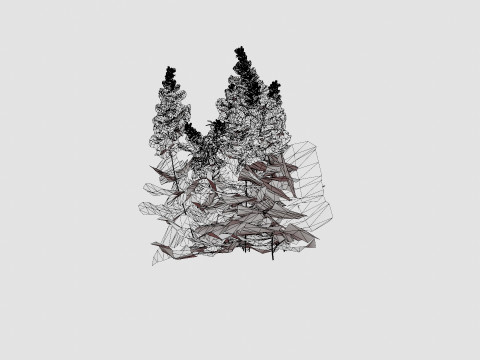 Astilbe chinensis Maggie Daley Chinese Astilbe Model 3D