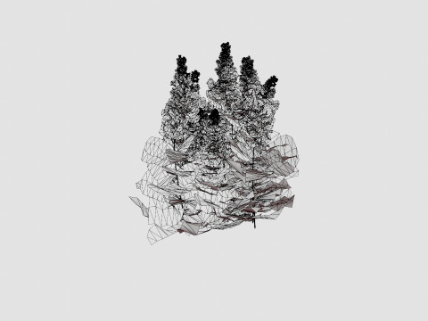 Astilbe chinensis Maggie Daley Chinese Astilbe Model 3D