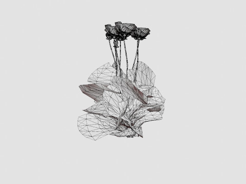 Papaver orientale Pattys Plum Orientvalmue Modelo 3D
