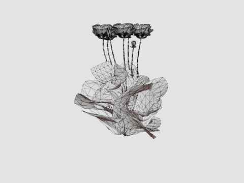 Papaver orientale Pattys Plum Orientvalmue Modelo 3D