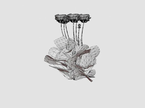 Papaver orientale Pattys Plum Orientvalmue 3D Model