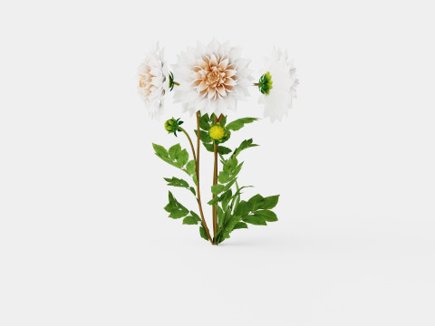 CAFE AU LAIT 3D Model
