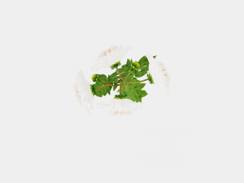 CAFE AU LAIT 3D-Modell
