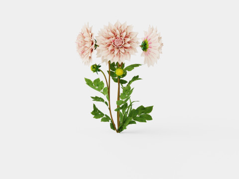 CAFE AU LAIT TWIST 3D Model