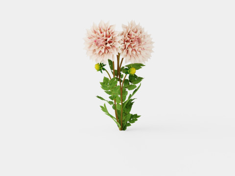 CAFE AU LAIT TWIST 3D 모델