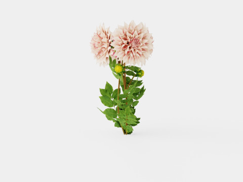 CAFE AU LAIT TWIST 3D 모델