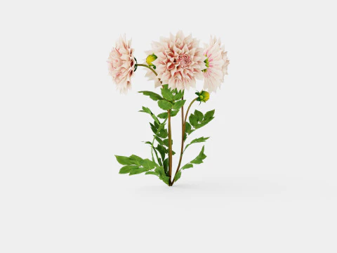 CAFE AU LAIT TWIST 3D Model