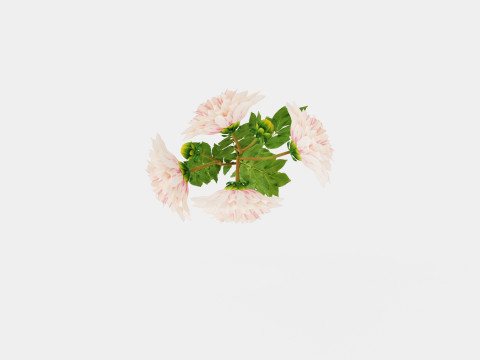 CAFE AU LAIT TWIST 3D 모델