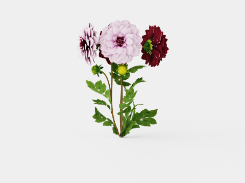 CREME DE CASSIS 3D Модель