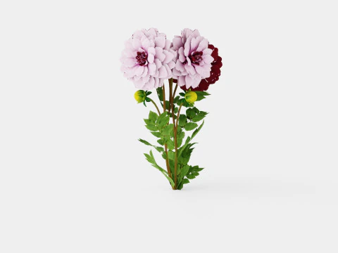 CREME DE CASSIS 3D Model