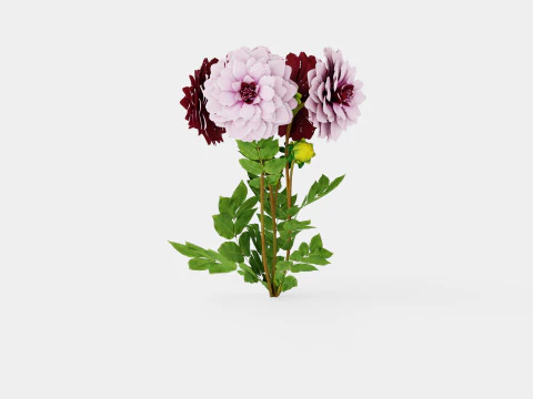 CREME DE CASSIS 3D Model