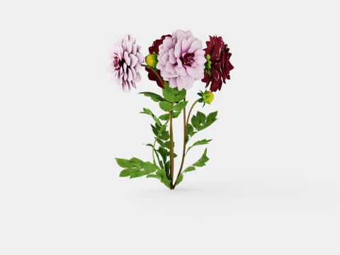 CREME DE CASSIS 3D Model