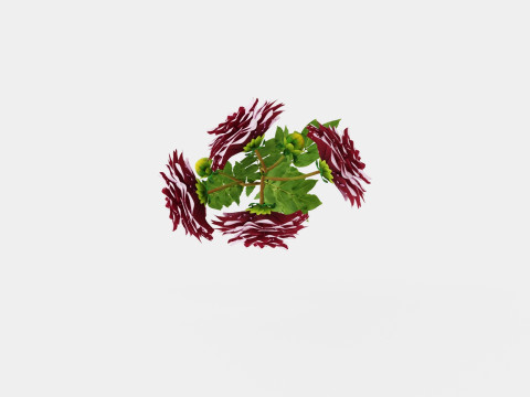 CREME DE CASSIS 3Dモデル