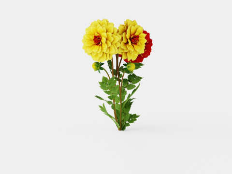 CREME DE COGNAC 3D Model