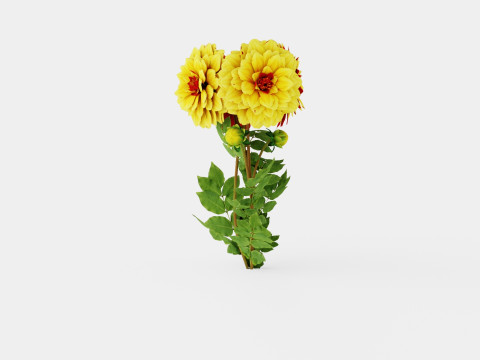CREME DE COGNAC 3D Model