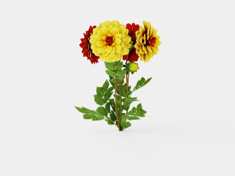 CREME DE COGNAC 3D Model