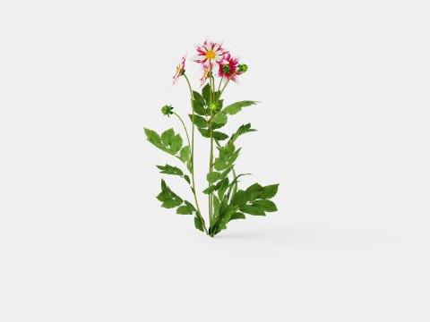 MĘŻCZYZNA MODY Model 3D