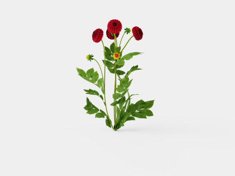 NATAL 3D Model