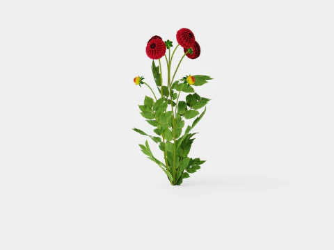 NATAL 3D Model