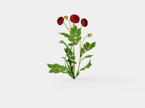 NATAL Modèle 3D