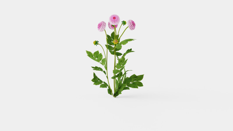 STOLZE VON BERLIN 3D 模型 .c4d .max .obj .3ds .fbx .stl .blend