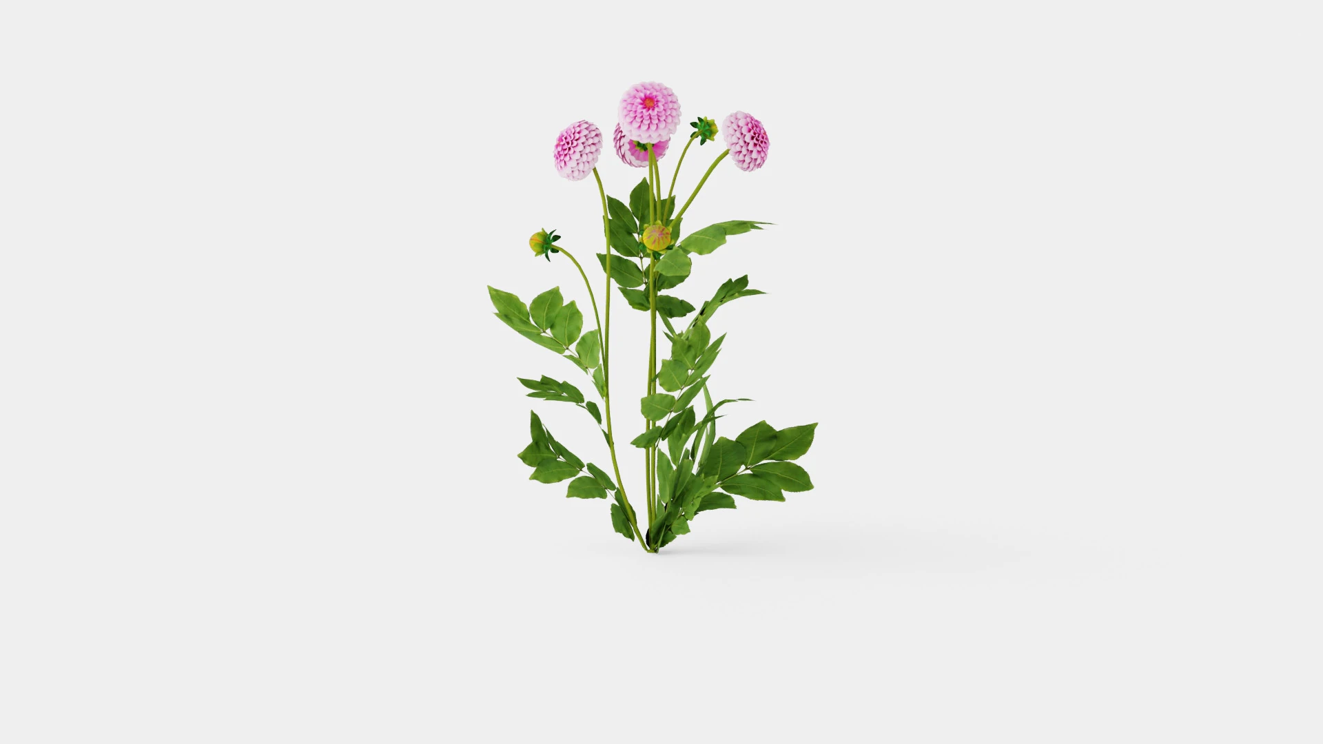 STOLZE VON BERLIN 3D Model .c4d .max .obj .3ds .fbx .stl .blend 
