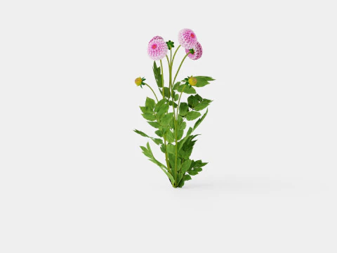 STOLZE VON BERLIN 3D Model