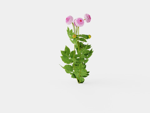 STOLZE VON BERLIN 3D 模型