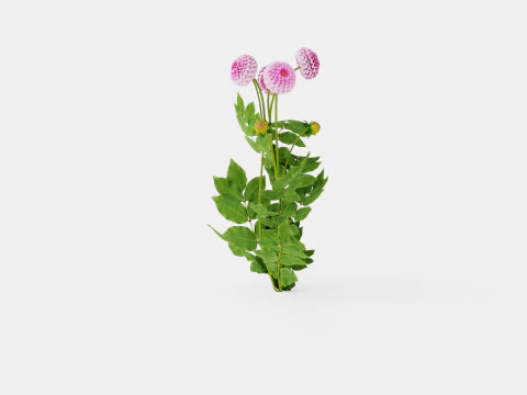 STOLZE VON BERLIN 3D Model