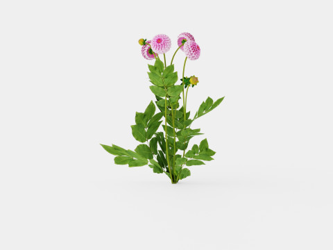 STOLZE VON BERLIN 3D 模型