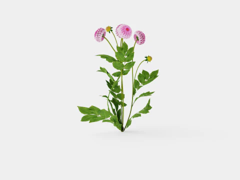 STOLZE VON BERLIN 3D Model