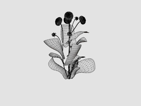 STOLZE VON BERLIN 3D Model