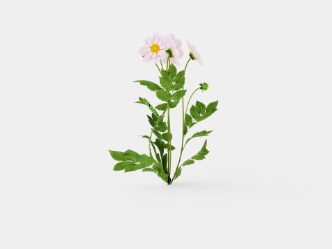 TEESBROOKE AUDREY 3D Model