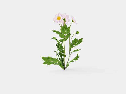 TEESBROOKE AUDREY 3D Model