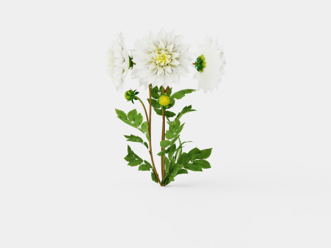 FLEUREL 3D 모델