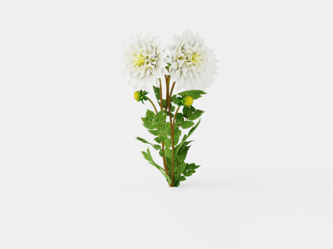 FLEUREL 3D Model