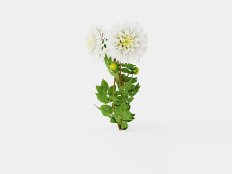 FLEUREL 3D Model