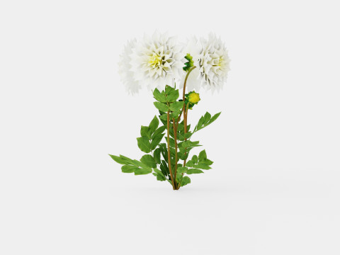 FLEUREL 3D Model