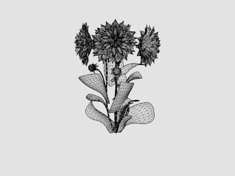 FLEUREL 3D Model