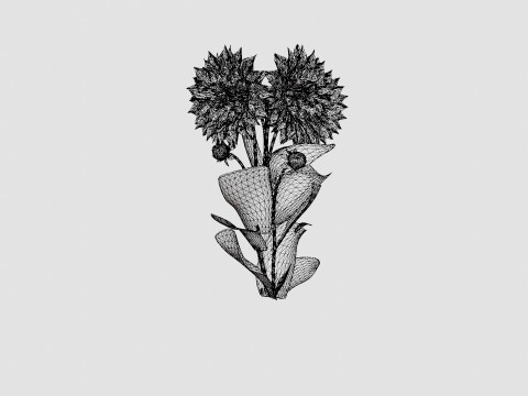 FLEUREL 3D Model