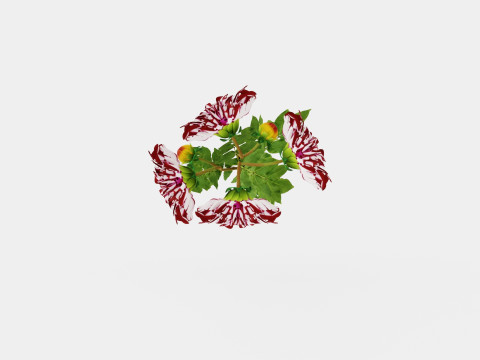 TARTAN 3D Model