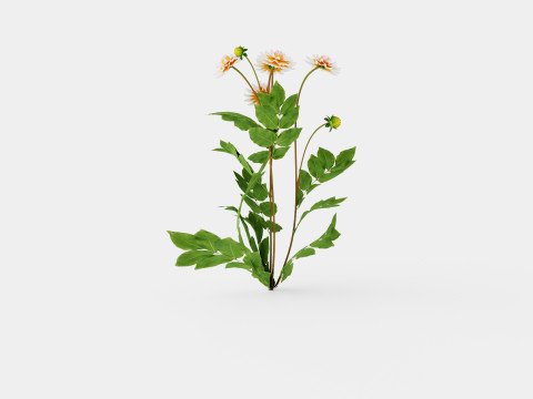 OKAPIS SUNSET 3D 모델