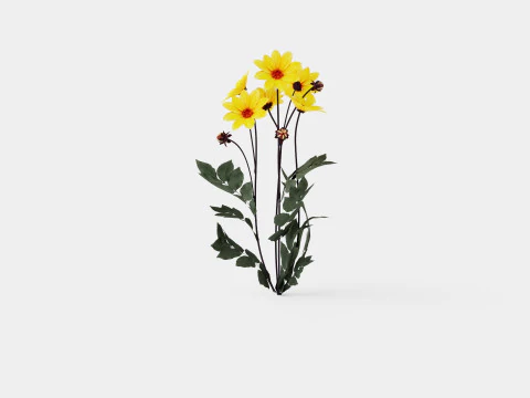 BISKUP JORKU Model 3D