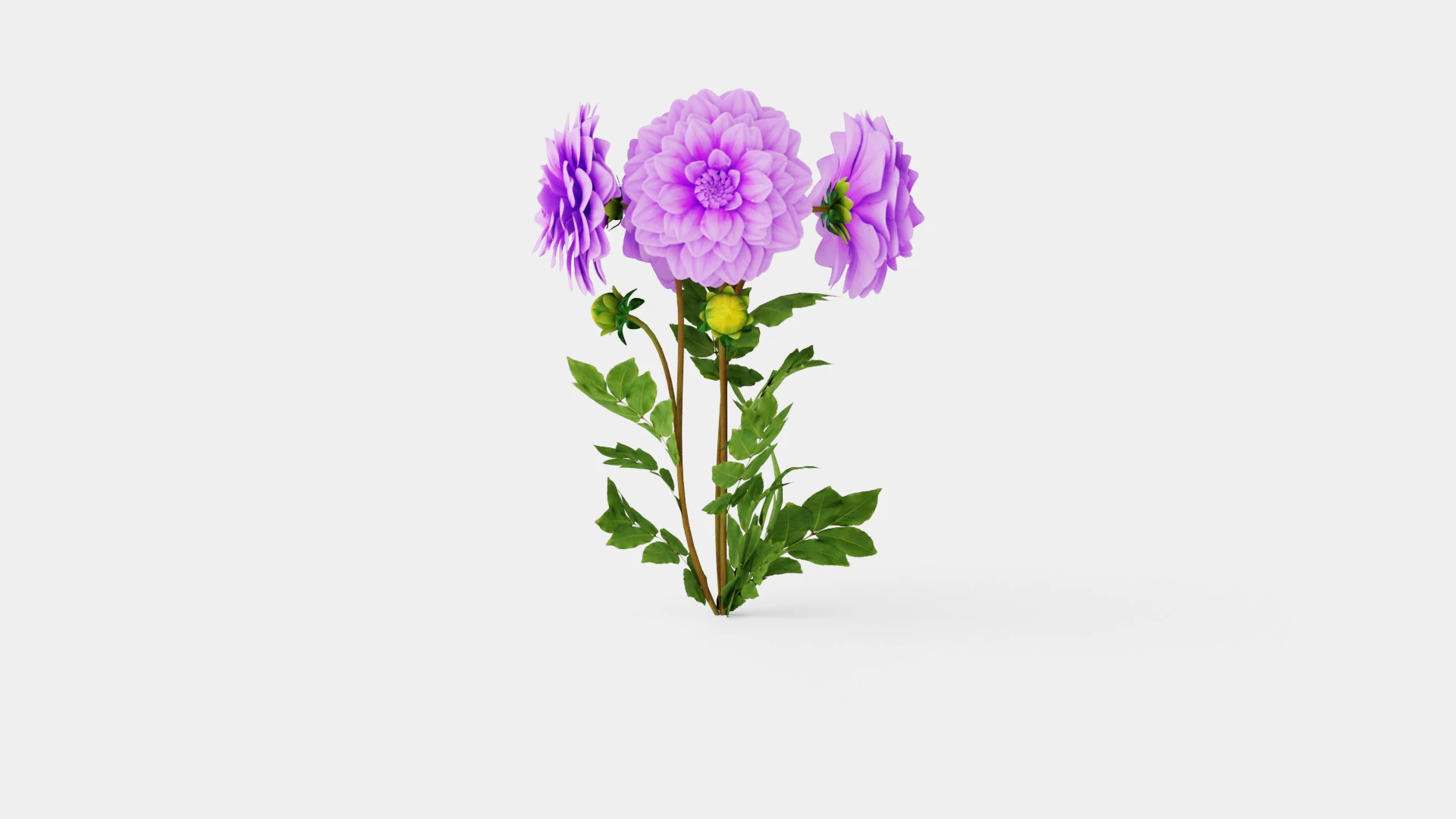 BLUETIFUL 3D Model .c4d .max .obj .3ds .fbx .stl .blend