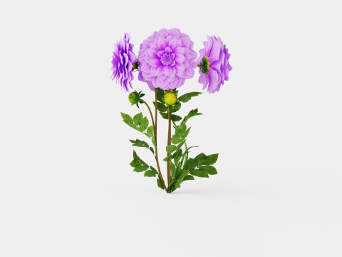 BLUETIFUL 3D Model